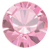 Light Rose Light Rose